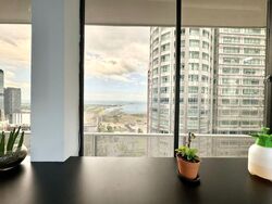 International Plaza (D2), Office #454708681